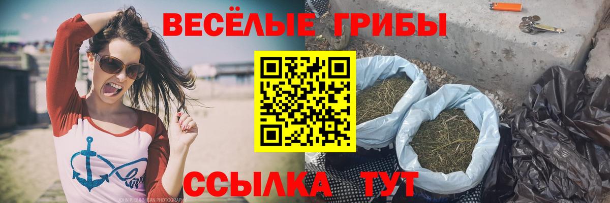 Костомукша  Псилоцибиновые грибы Cubensis  Галлюциногенные грибы прущие грибы  Вход с VPN 